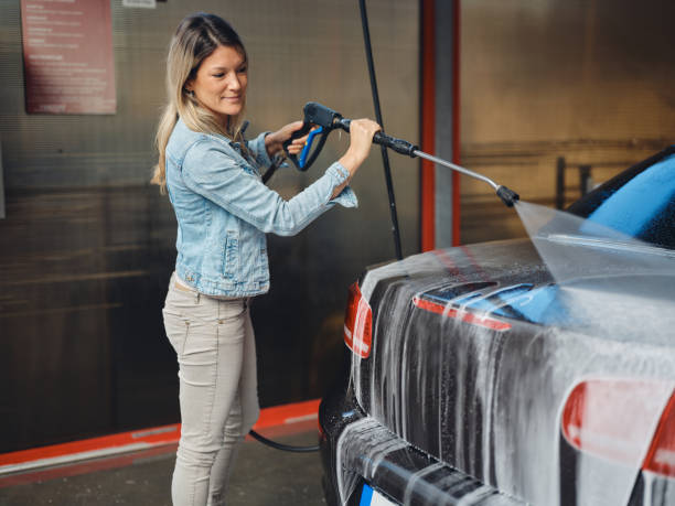 Best Pressure Washing Driveway  in Signal Mountain, TN